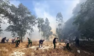 Huy động tổng lực bảo vệ rừng trong cao điểm nguy cơ cháy