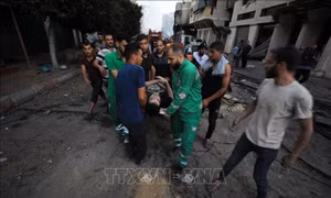 Xung đột Hamas - Israel: LHQ lo ngại về tình cảnh đói nghèo của người dân Gaza