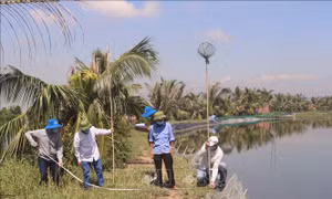 Quảng Ninh kiểm điểm tiến độ giải phóng mặt bằng 4 dự án trọng điểm
