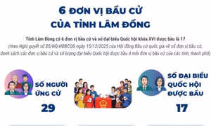 6 đơn vị bầu cử của tỉnh Lâm Đồng