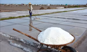 Hướng đi mới cho nghề muối