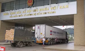 Lào Cai siết chặt quản lý người điều khiển phương tiện vận tải hàng hóa từ các địa phương có dịch 