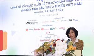 Công bố Tuần lễ Thương mại điện tử quốc gia và Ngày mua sắm trực tuyến Việt Nam