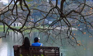 Hà Nội lãng mạn mùa lộc vừng thay lá