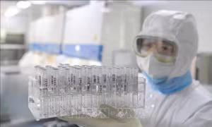 Vaccine phòng nCoV đạt thành công bước đầu trong quá trình thử nghiệm