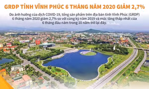 GRDP tỉnh Vĩnh Phúc 6 tháng giảm 2,7%