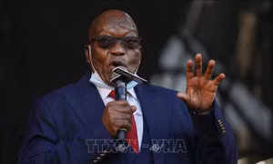 Cựu Tổng thống Zuma nhắm mục tiêu quay trở lại chính trường Nam Phi