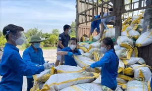 Những 'Sao tháng 10' trong phong trào thanh niên