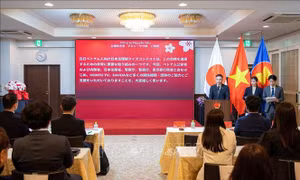 Phát động cuộc thi tìm hiểu pháp luật Nhật Bản 2026 dành cho Cộng đồng Việt Nam tại Nhật Bản