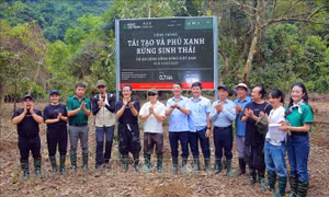 Gieo hàng trăm 'mầm xanh' tại rừng Cúc Phương