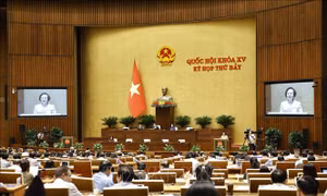 Kỳ họp thứ 7, Quốc hội khóa XV: Thảo luận về cải cách tiền lương, điều chỉnh lương hưu