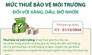 Mức thuế bảo vệ môi trường đối với xăng, dầu, mỡ nhờn từ 1/1/2024
