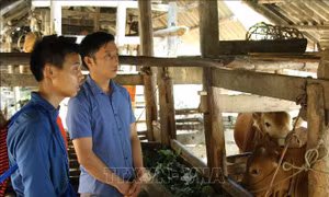 Tập trung nguồn lực hỗ trợ Hà Giang bứt phá