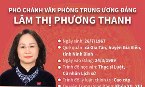 Phó Chánh Văn phòng Trung ương Đảng Lâm Thị Phương Thanh