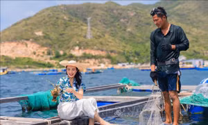 Lễ hội tôm hùm Cam Ranh 2024: Thu hút 6.000 du khách mỗi ngày