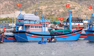 Ninh Thuận tạo động lực thúc đẩy phát triển bền vững kinh tế biển