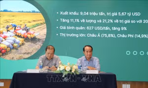 Kịp thời triển khai chiến lược về xuất khẩu gạo đến năm 2030