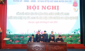 Phát huy nguồn lực xây dựng nông thôn mới nâng cao, nông thôn mới kiểu mẫu