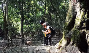 Huyện Ba Vì kỷ niệm 50 năm thành lập và đón nhận Bằng khen của Thủ tướng