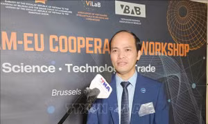 Khai thác kinh nghiệm châu Âu trong ứng dụng AI vào y học hạt nhân tại Việt Nam