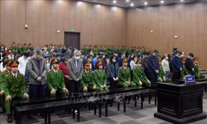 35 bị cáo kháng cáo xin giảm nhẹ hình phạt trong vụ án tại Cục An toàn thực phẩm