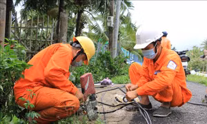 Hỗ trợ người dân Vĩnh Long bị thiệt hại do dông lốc