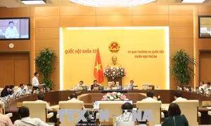  Rà soát, không để phát sinh giấy phép con trong dự án Luật Trồng trọt