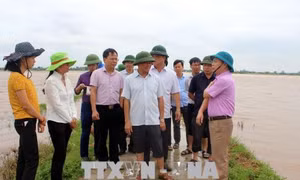 Các địa phương chủ động ứng phó với bão số 3