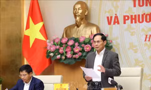 Hội nghị trực tuyến tổng kết công tác năm 2025 của Ban Chỉ đạo 389 quốc gia