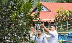 Người xây dựng 'Con đường nhân ái' khắp các bản làng