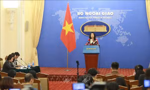 Chưa nhận được thông tin phía Anh hỗ trợ kinh phí đưa thi thể/tro cốt 39 nạn nhân về nước