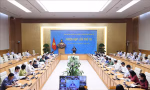 Tăng cường phòng, chống các bệnh mới nổi