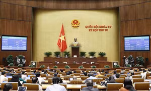 Phân công cơ quan chủ trì soạn thảo văn bản quy định chi tiết thi hành 8 luật, nghị quyết