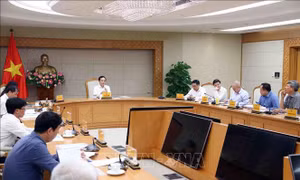 Các địa phương khẩn trương góp ý dự thảo Quy hoạch lâm nghiệp quốc gia
