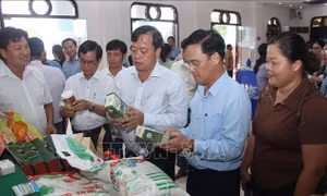 Bổ sung phù hợp với thực tiễn để các chương trình mục tiêu quốc gia đạt hiệu quả