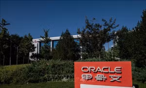 Oracle vượt dự báo lợi nhuận, chuẩn bị huy động thêm 40 tỷ USD cho AI