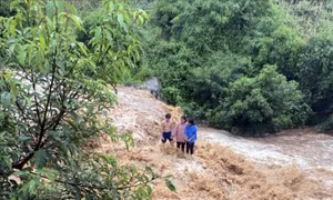 Gia Lai: Giải cứu kịp thời các cháu nhỏ mắc kẹt giữa dòng lũ