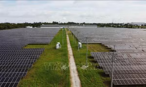 Tiêu chuẩn thúc đẩy các mục tiêu phát triển bền vững