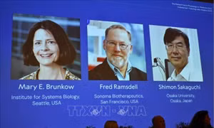 Nobel 2025: Nobel Y Sinh vinh danh khám về hệ thống kiểm soát miễn dịch