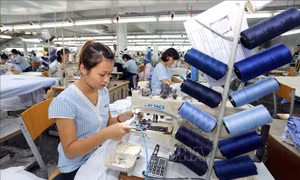 Việt Nam là điểm đến đầu tư ngày càng hấp dẫn của doanh nghiệp Đức