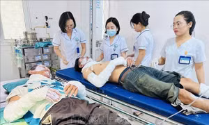 Cảnh báo không dùng bình gas để đốt hoặc thui thực phẩm