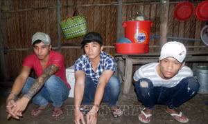 Bắt ba đối tượng tàng trữ, sử dụng trái phép chất ma túy