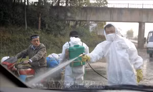 Phát hiện lão bệnh nhân 82 tuổi nhiễm cúm gia cầm H7N9 