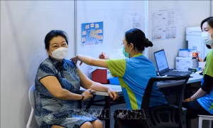 Hong Kong (Trung Quốc) dự định sử dụng một phần liều tiêm vaccine Pfizer/BioNTech của người lớn cho trẻ em