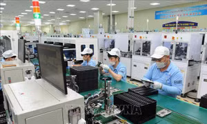 Bắc Ninh: Tạo lực đẩy chuyển đổi số cho hơn 54.000 doanh nghiệp