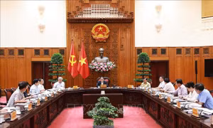Thủ tướng chủ trì họp cho ý kiến về dự thảo đề án phát triển văn hoá trình Bộ Chính trị