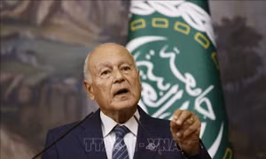 AL nhấn mạnh thông điệp quan trọng của quốc tế ủng hộ người dân Palestine