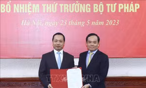 Phó Thủ tướng Trần Lưu Quang trao quyết định bổ nhiệm Thứ trưởng Bộ Tư pháp