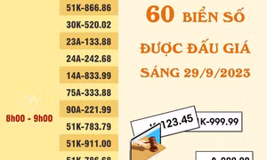 60 biển số ô tô đẹp được đấu giá sáng 29/9/2023