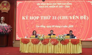 Cao Bằng: Công bố chuẩn y hai Phó Bí thư Tỉnh ủy, bầu Chủ tịch HĐND và Chủ tịch UBND tỉnh mới